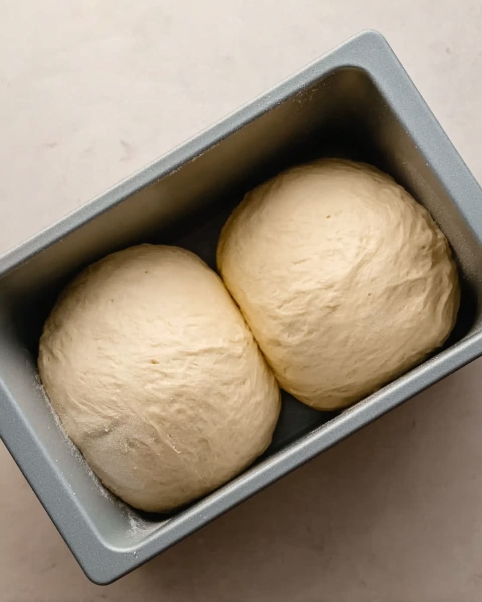 The image shows two balls of dough placed side by side inside a light gray loaf pan. Each dough ball has a smooth, slightly bumpy texture with a pale cream color. The dough looks soft and slightly sticky, filling most of the pan's space. The background surface is a white marbled texture. photo taken with an iphone --ar 4:5 --v 7