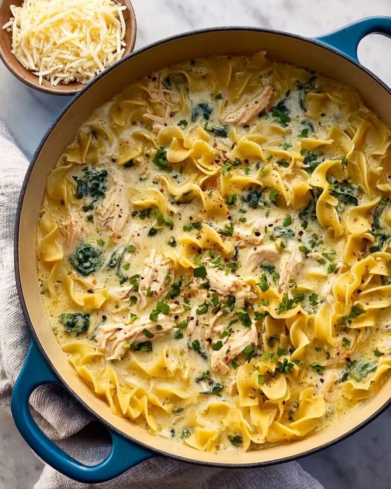 Best Chicken Lasagna Soup Recipe