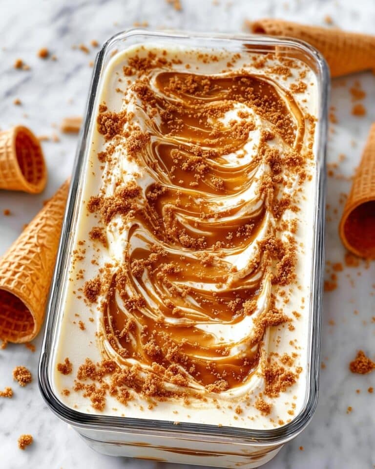 Homemade Biscoff Ice Cream Recipe