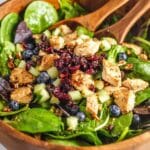 Chicken Blueberry Feta Salad with Balsamic Vinaigrette Recipe
