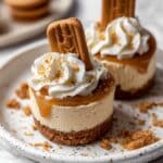 No Bake Mini Biscoff Cheesecakes Recipe