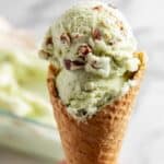 Homemade Pistachio Ice Cream with Salted Pistachios Recipe
