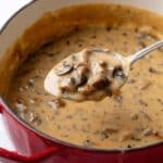 Vegan Cream of Mushroom Soup Recipe