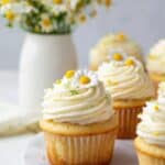 Chamomile Cupcakes with Honey Buttercream Frosting Recipe